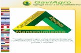 Brochure de Productos y servicios GaviAgro