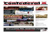 Notícia Confederal Febrer 2013