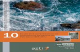 RIM10: Estudio de la contaminación en los sedimentos de los estuarios del País Vasco (1998-2001)