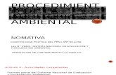 PROCEDIMIENTO DE LA AUDITORIA AMBIENTAL.pptx