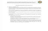 INGENIERIA BASICA DE PROYECTO Ocopa.pdf