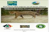 El Futuro Del Jaguar en El Gran Chaco