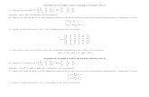 Examen de Algebra Lineal Segunda Unidad Tipo A
