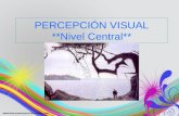 Percepción visual.ppt