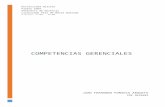 Competencias Gerenciales -  Seminario de Gerencia