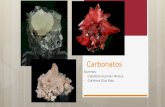 Exposición de Carbonatos 3
