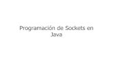 Java.net Explicacion Practica 2013