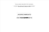 AGENCIAMENTO, ESTACIONAMENTO E CALu00C7ADAS.pdf