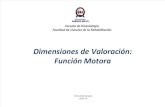 Dimensiones de Valoración Motora (MIS-WEEFIM-FAM)