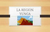 La Region Yunga
