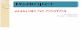 Ms Project- Análisis de Costos