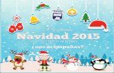 Programa "Navidad en San Martin de La Vega 2015"