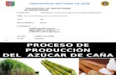 Proceso de Produccion de Caña de Azucar