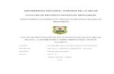 Informe Final Aguaje Campo Abierto, ingeniera forestal