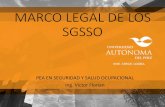 Marco Legal de Los SGSSO