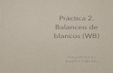 Práctica # 5 Wb Balance de Blancos