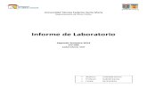 Informe LAB Correa