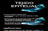 TEJIDO EPITELIAL exp.1.pptx