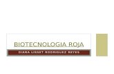 Biotecnologia Roja