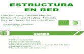 Exposicion Estructuras en Red