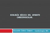 1.Biología Básica Del Aparato Cardiovascular