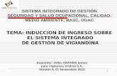 Induccion de Ingreso Sobre SIG Vigiandina v6, 01112010