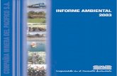 Cap Mineria Informe Ambiental 2003