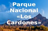 Parque Nacional Los Cardones
