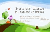 Ecosistema Terrestre Del Noreste de México