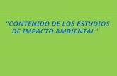 7.- Contenido de Los Estudios de Impacto Ambiental
