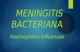 Meningitis Expo