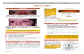 1F2C. Glaucoma. Parte 1