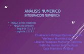 Expo Analisis Numerico