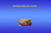 Tecnología de Carne 1 Clase 1 (1)