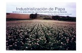 Industrializacion de Papa (1)3