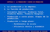 Diapo_Produccion y costos.ppt