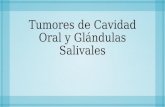 Tumores de Cavidad Oral y Glandulas Salivales
