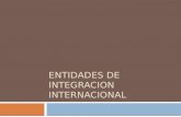 Entidades de Integracion Internacionañ