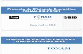 8. Proyecto de Eficiencia Energética FONAM-Resultados.pdf