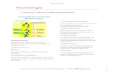 Fisologia respiratoria virtual PLUS medica.pdf