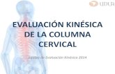 5, 6.- Columna Cervical 2015