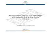 Diagnóstico Salud Puebla 2013