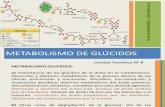 Clase de Bioquímica - Metabolismo de Glúcidos 2014