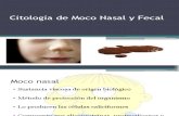 Citología de Moco Nasal y Fecal