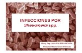 Infecciones Por Shewanella Spp OCAÑA