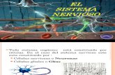 Sistema Nervioso Rodrigo Kine