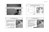 010 - Dificultades del Aprendizaje.pdf