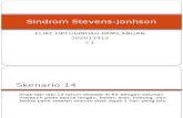 PPT Sindrom Stevens-Jonhson