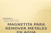 Magnetita Para Remover Metales en Agua