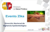 Presentacion Zika Final